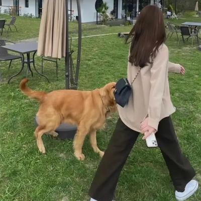 鬼作秀第四季